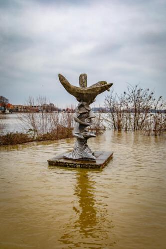 Klehmann Hochwasser Rhein Januar INTERNET 17