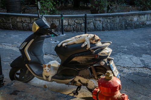 INTERNET 2023 Rhodos 076