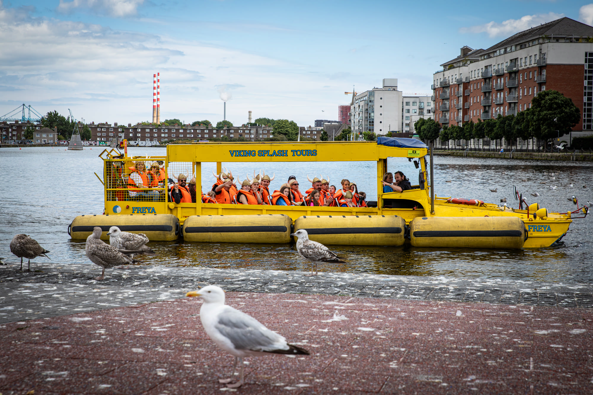 2025 Klehmann Dublin 036