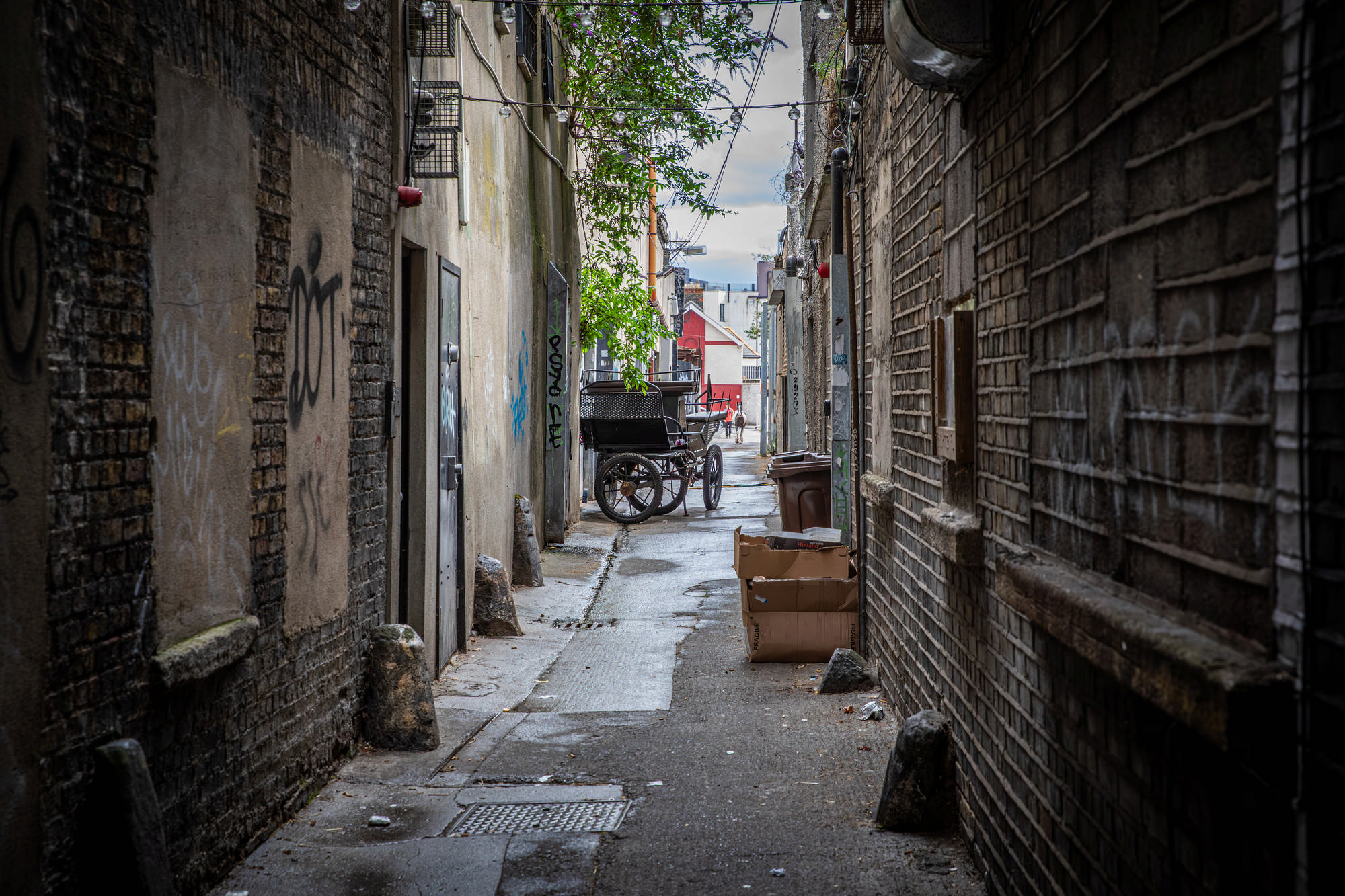 2025 Klehmann Dublin 084