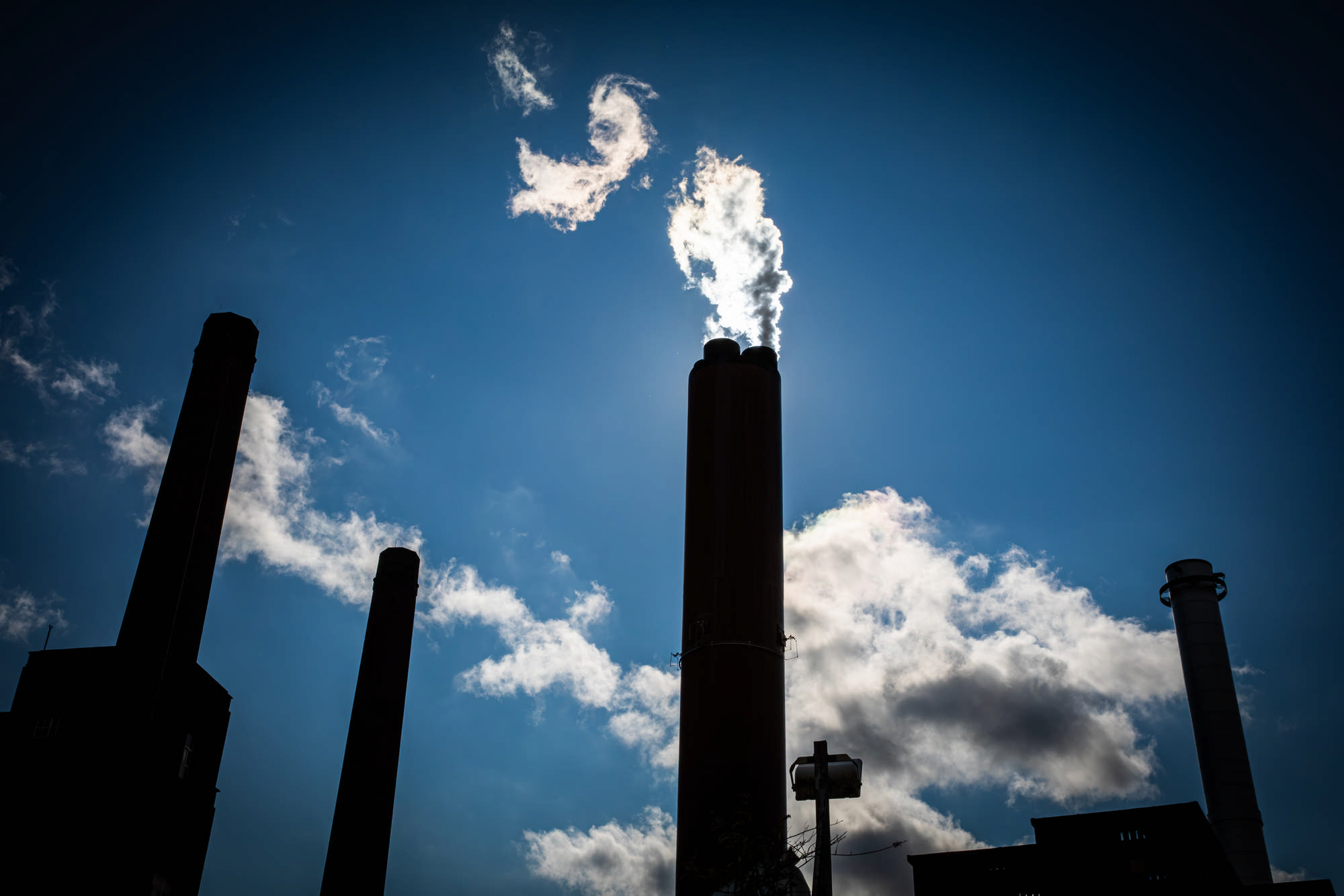 2025 Klehmann Dublin 088