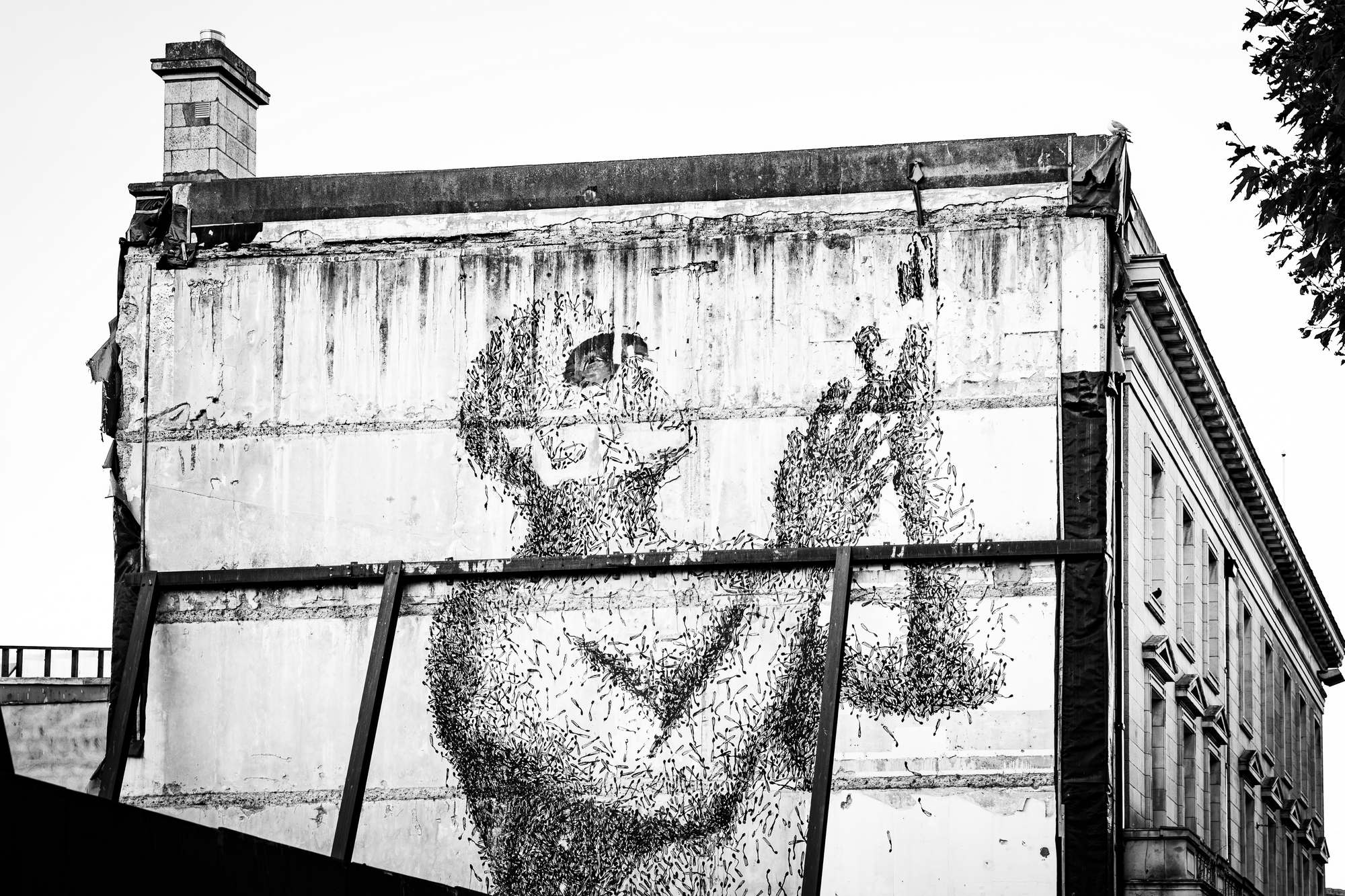 2025 Klehmann Dublin 133