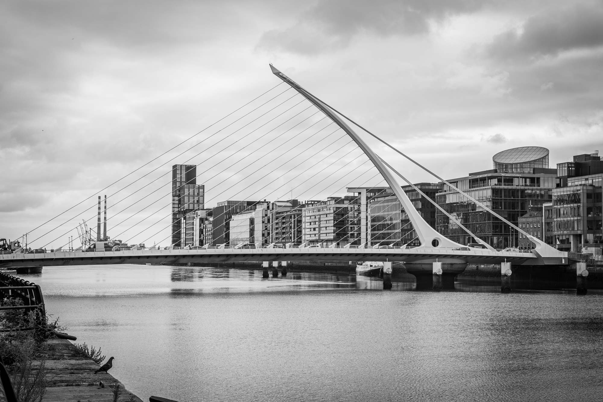 2025 Klehmann Dublin 144