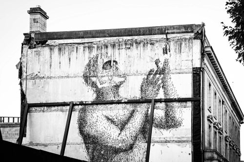 2025 Klehmann Dublin 133