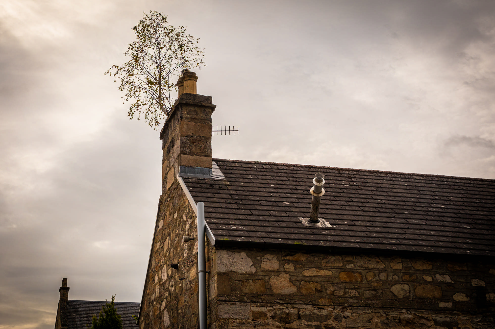 2025 Klehmann Highlands 006