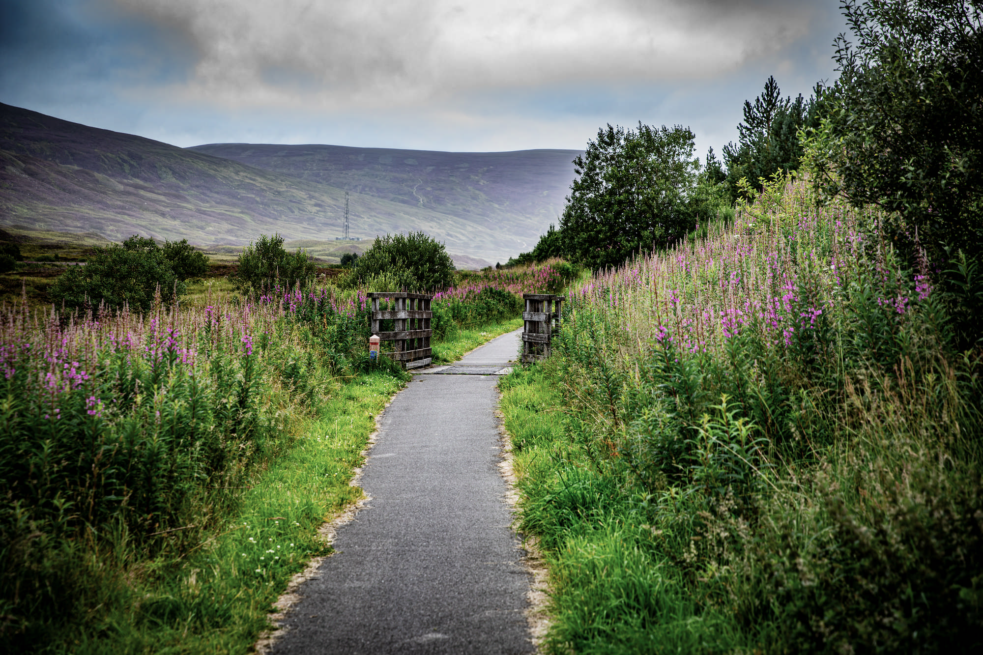 2025 Klehmann Highlands 009