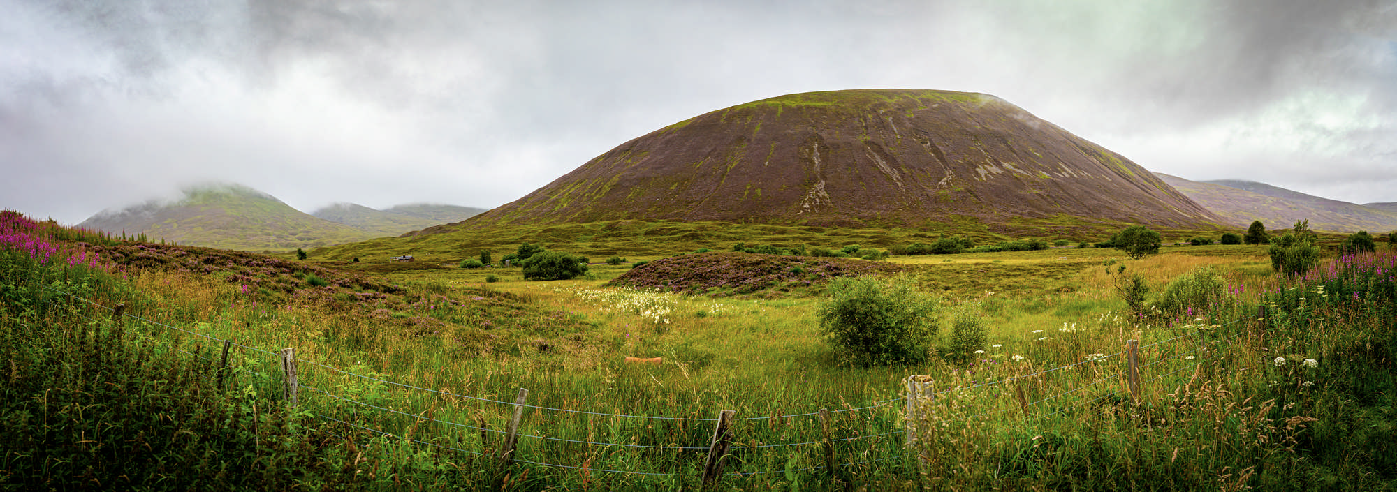 2025 Klehmann Highlands 015