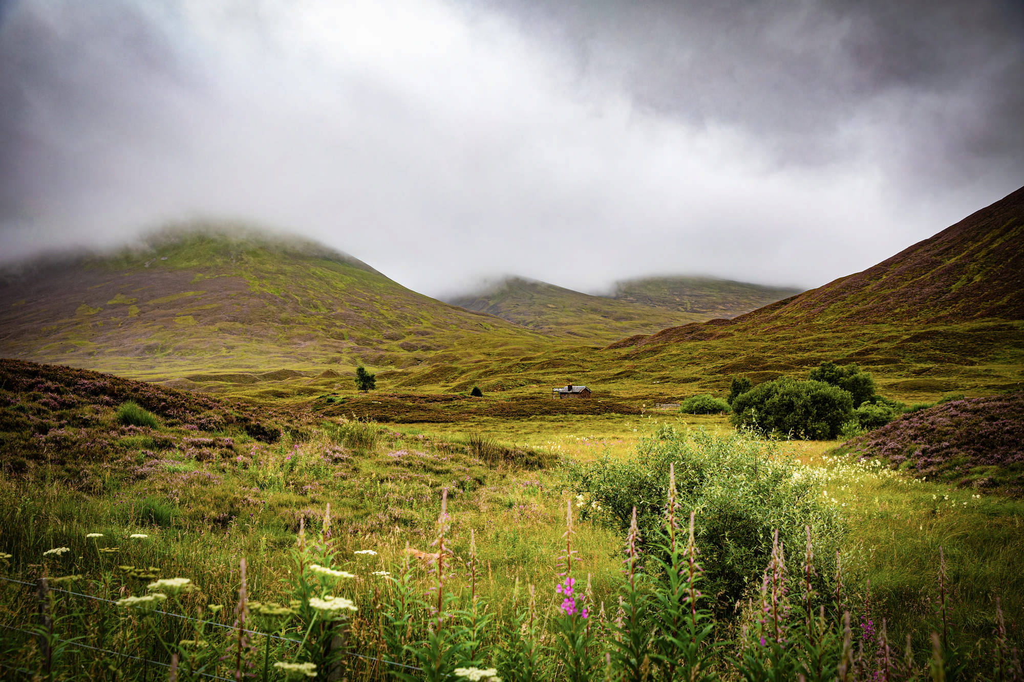 2025 Klehmann Highlands 018