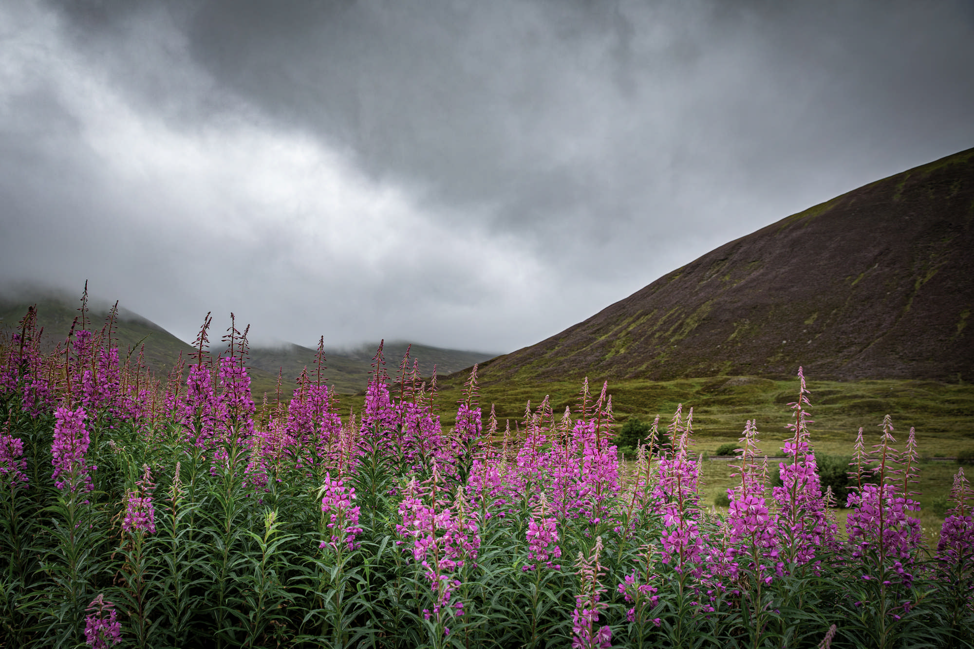 2025 Klehmann Highlands 029