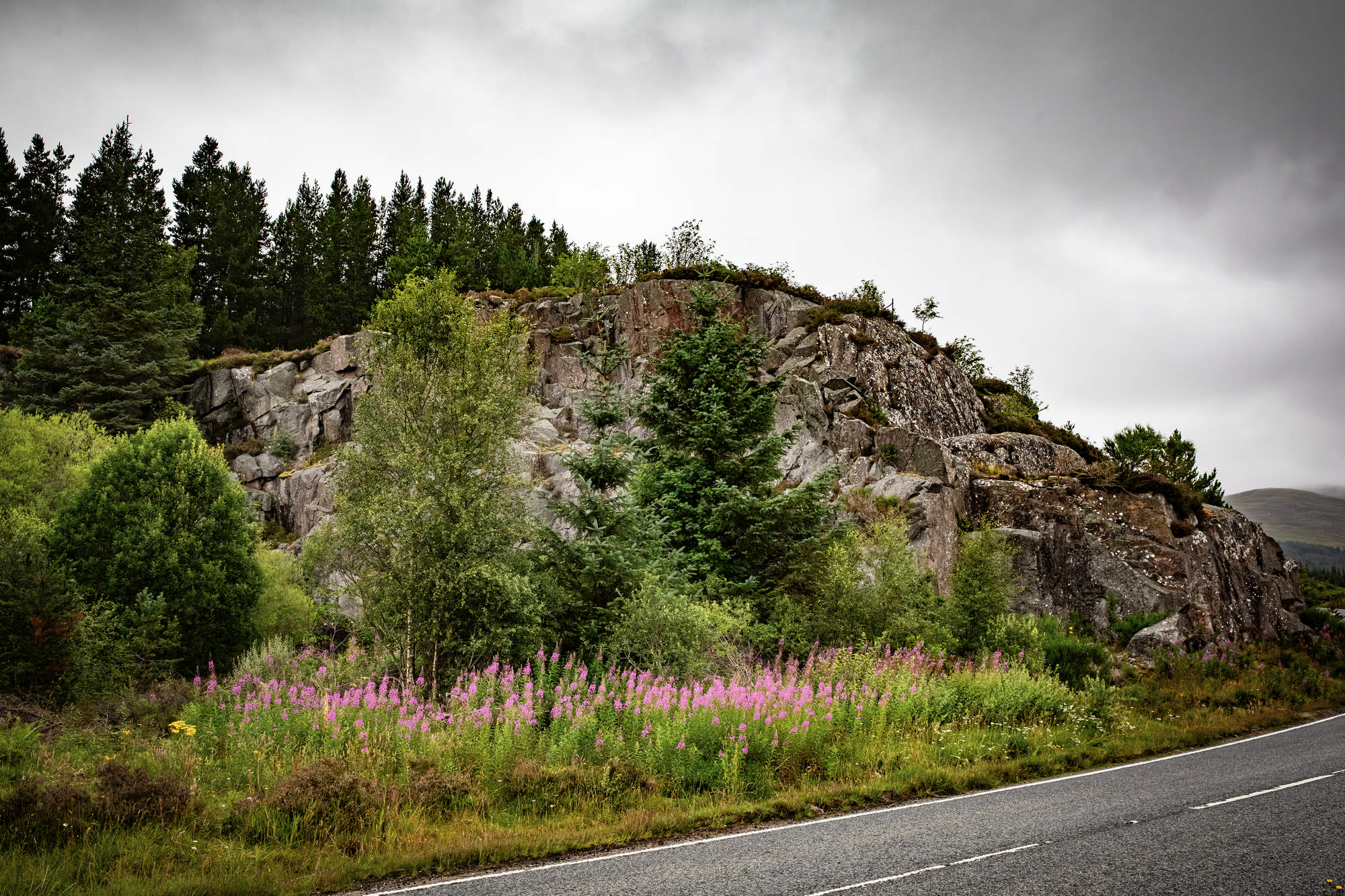 2025 Klehmann Highlands 038