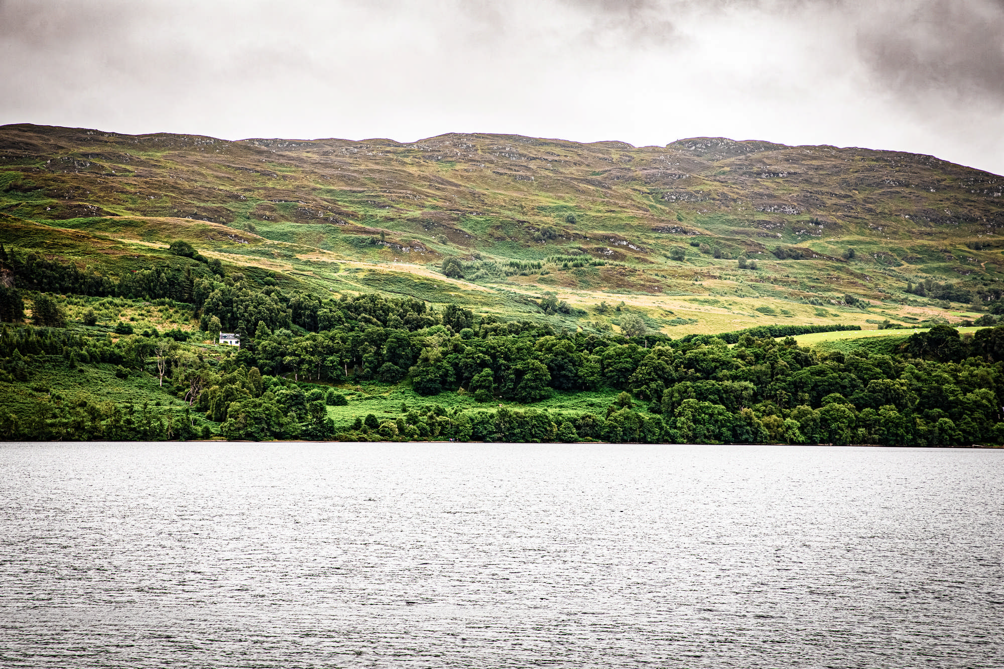 2025 Klehmann Highlands 049