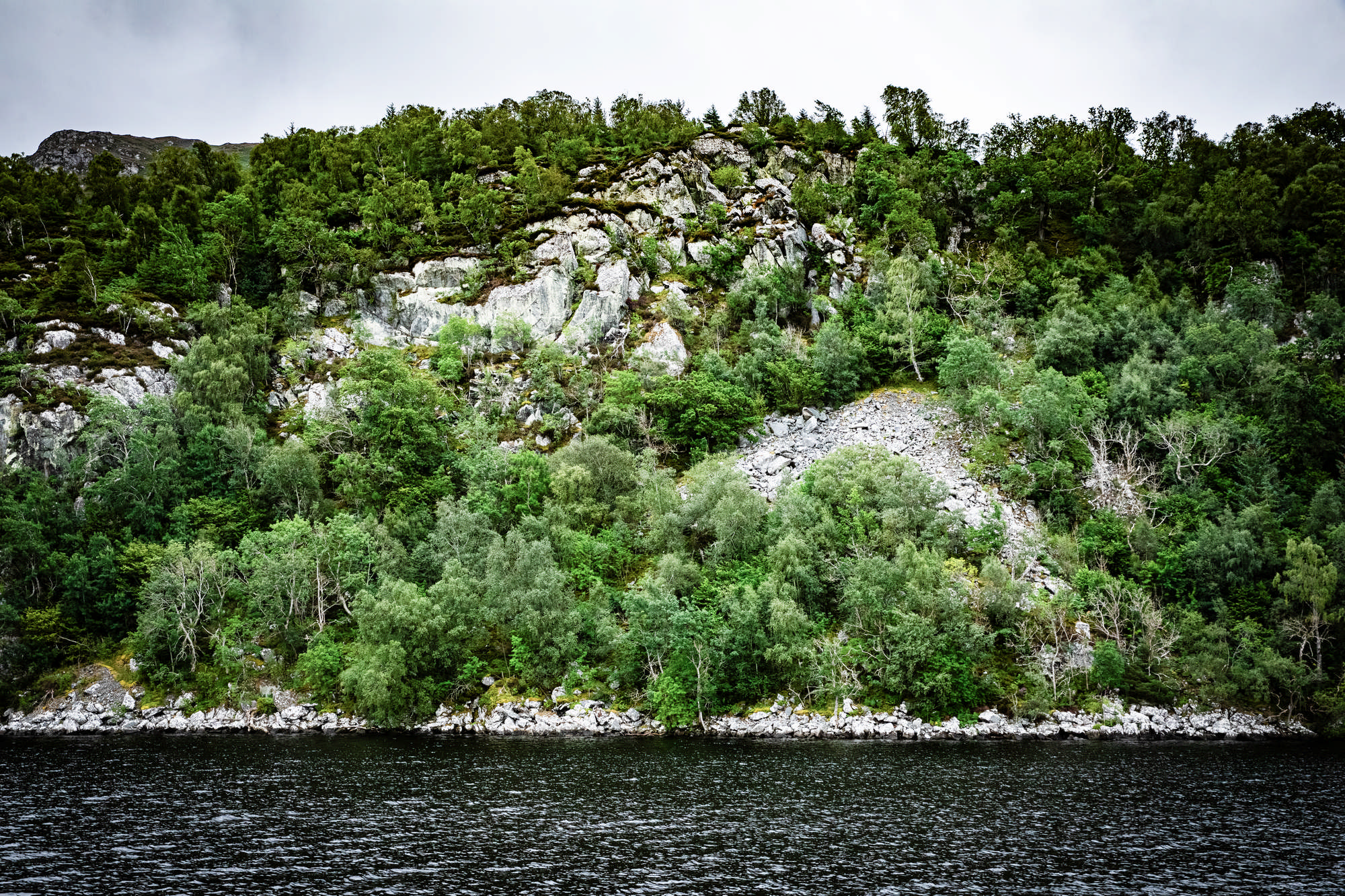 2025 Klehmann Highlands 059