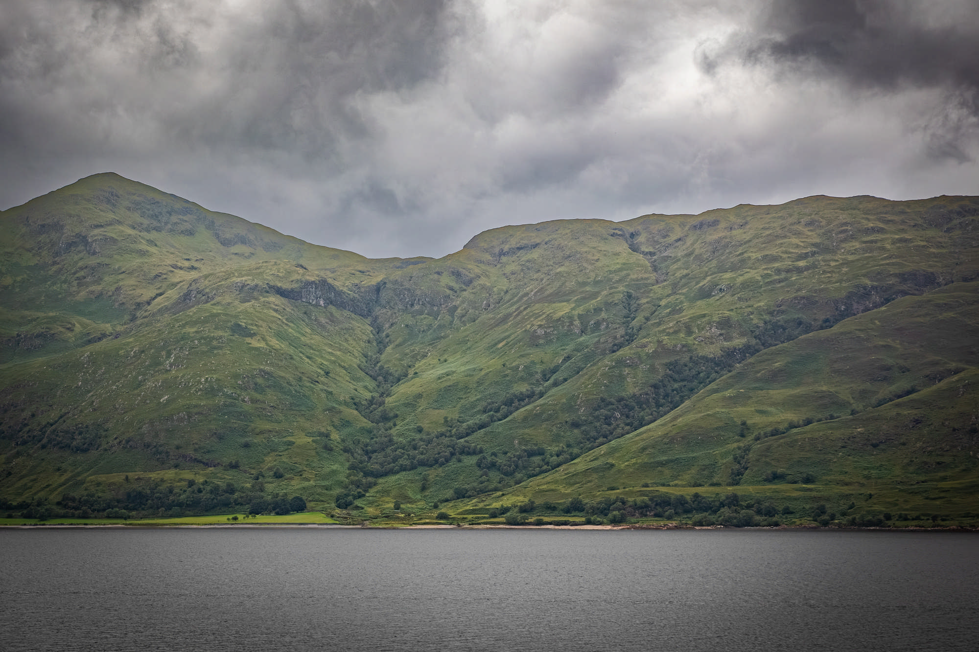 2025 Klehmann Highlands 100