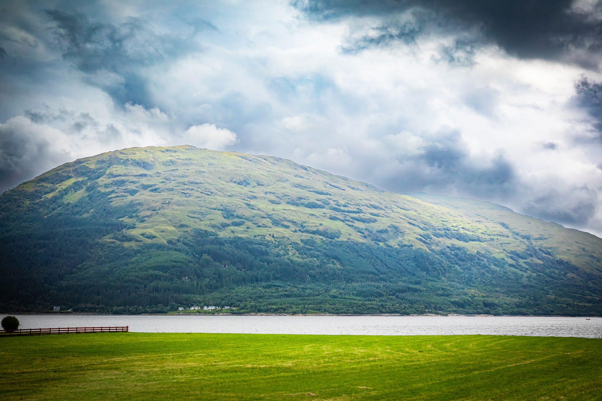 2025 Klehmann Highlands 101