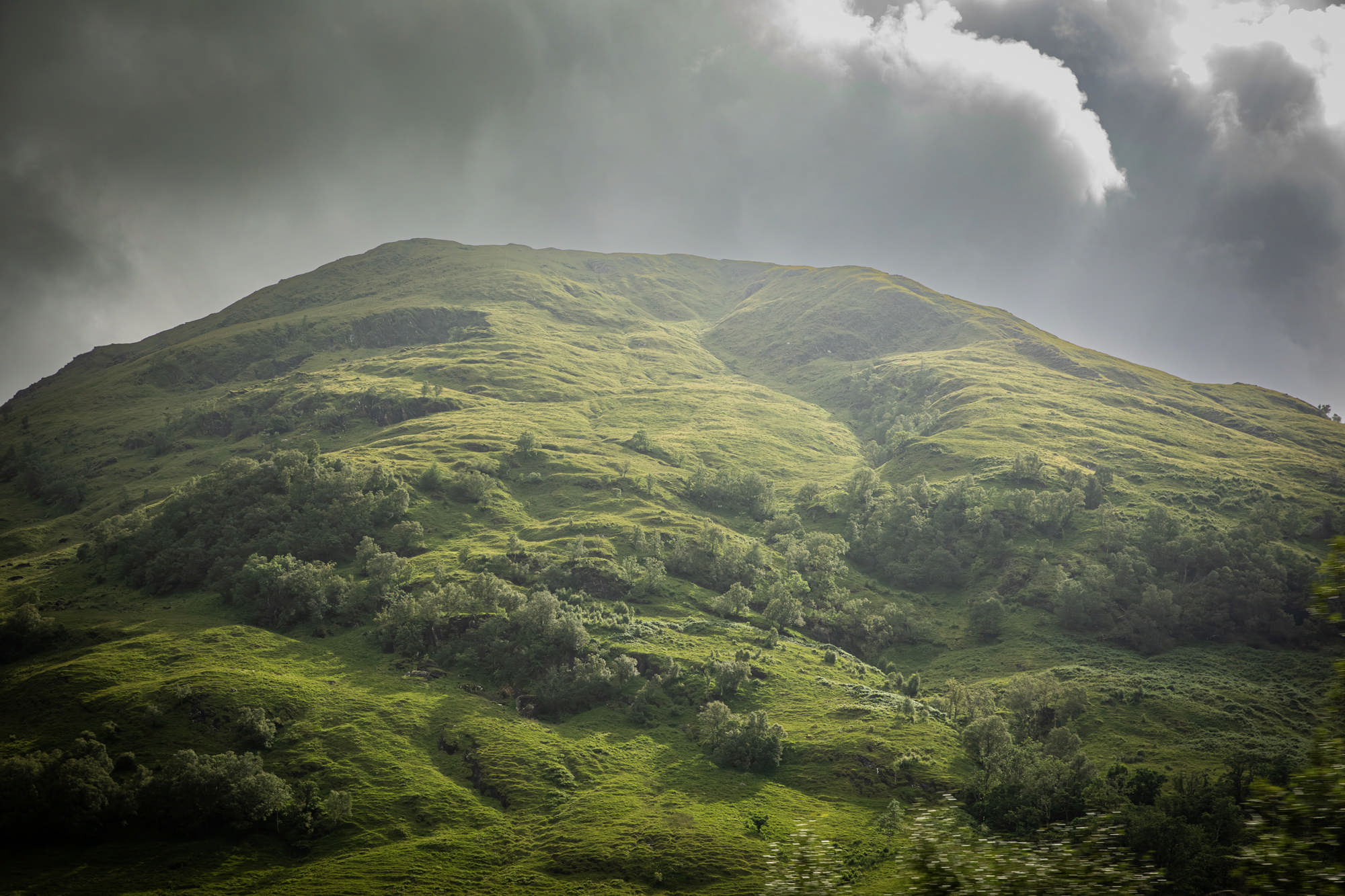 2025 Klehmann Highlands 107