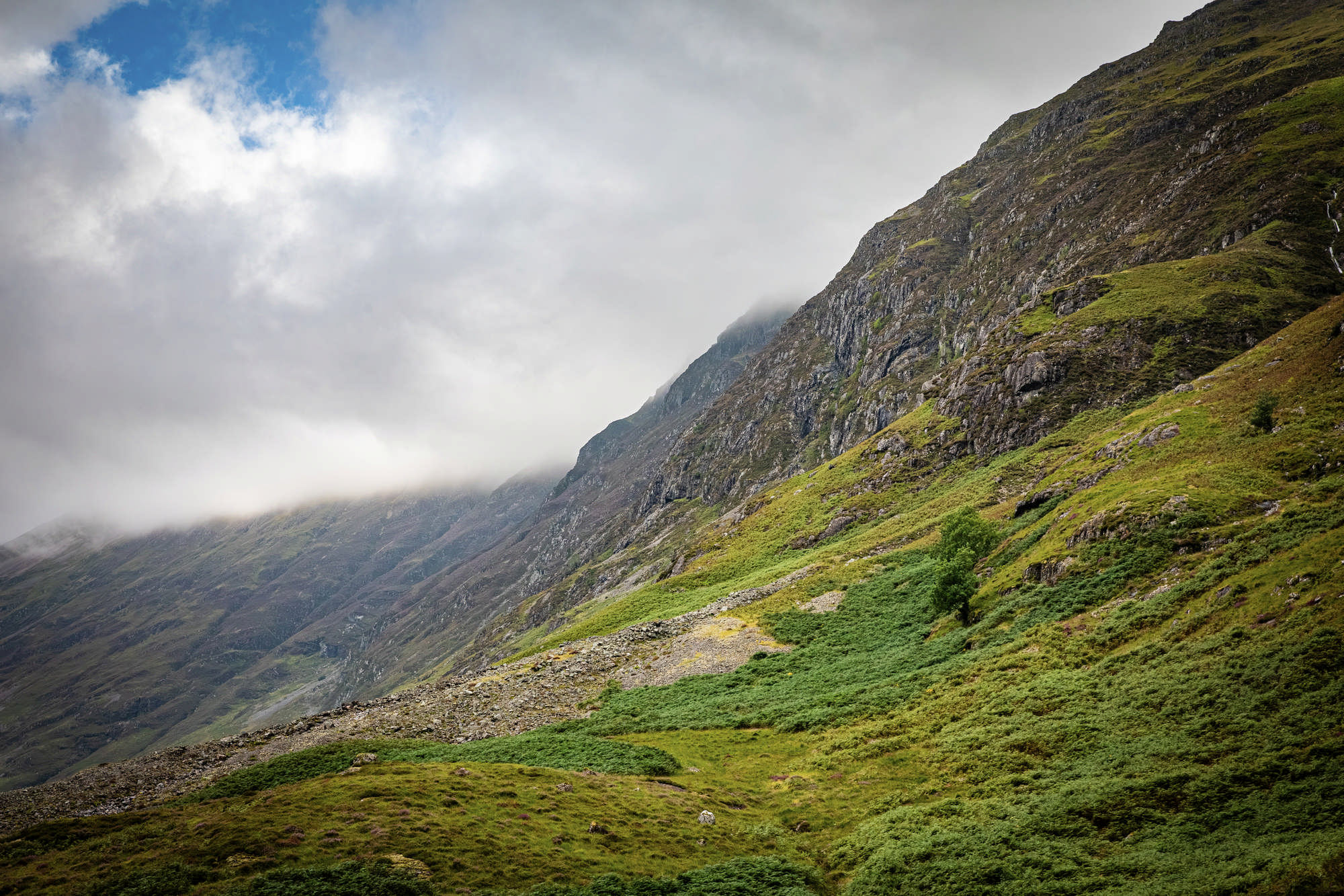 2025 Klehmann Highlands 129