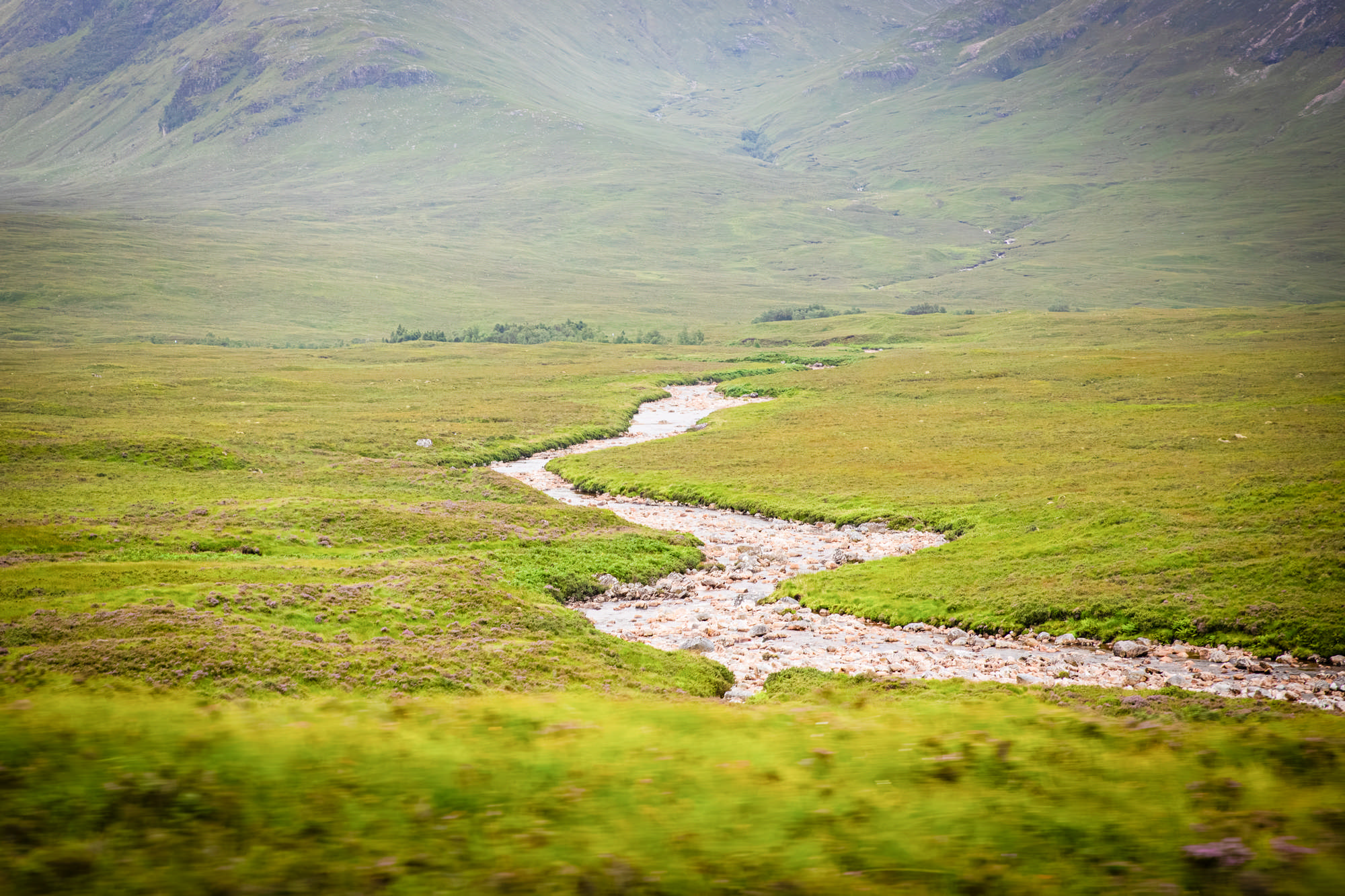 2025 Klehmann Highlands 144