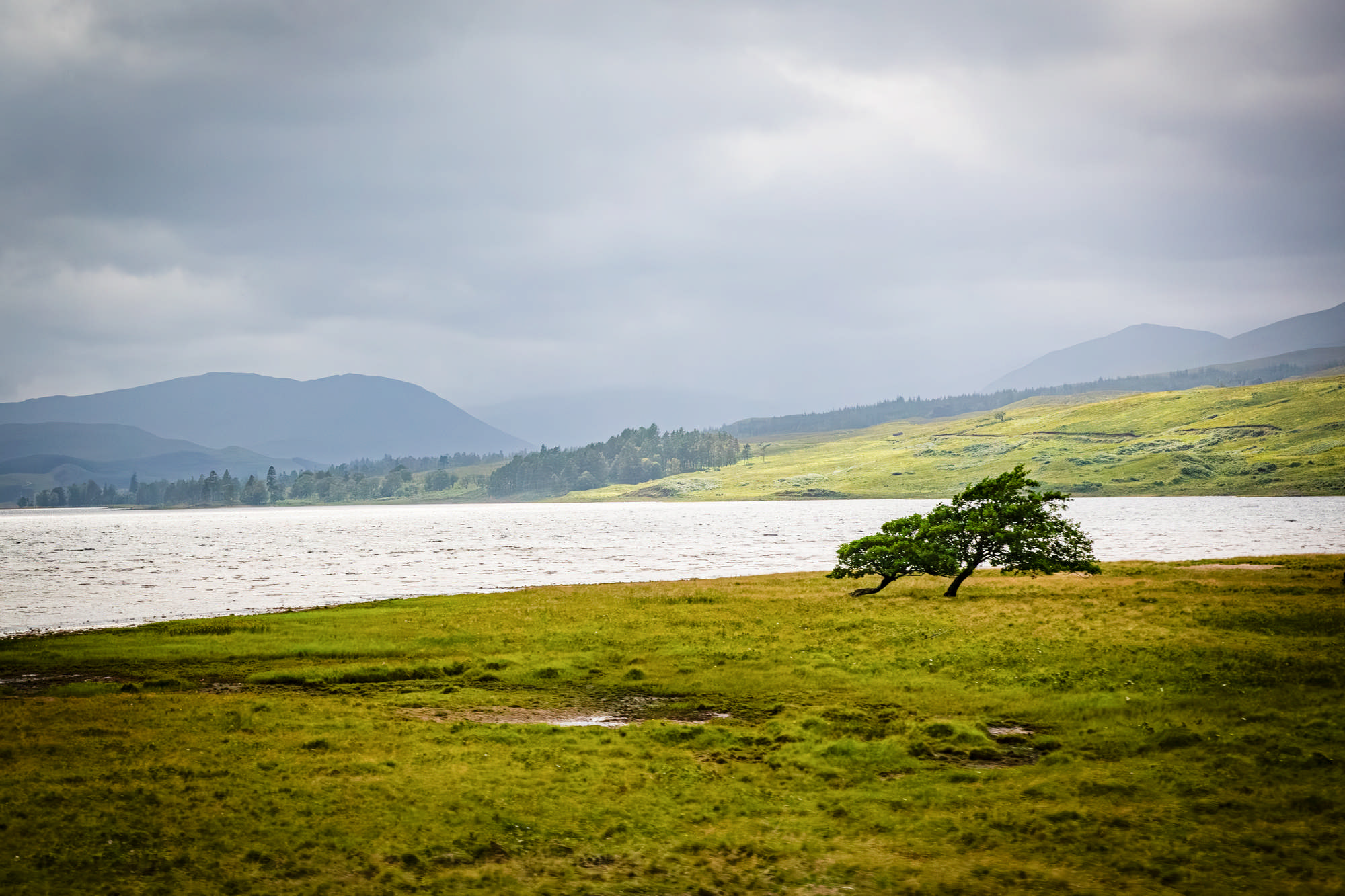 2025 Klehmann Highlands 154