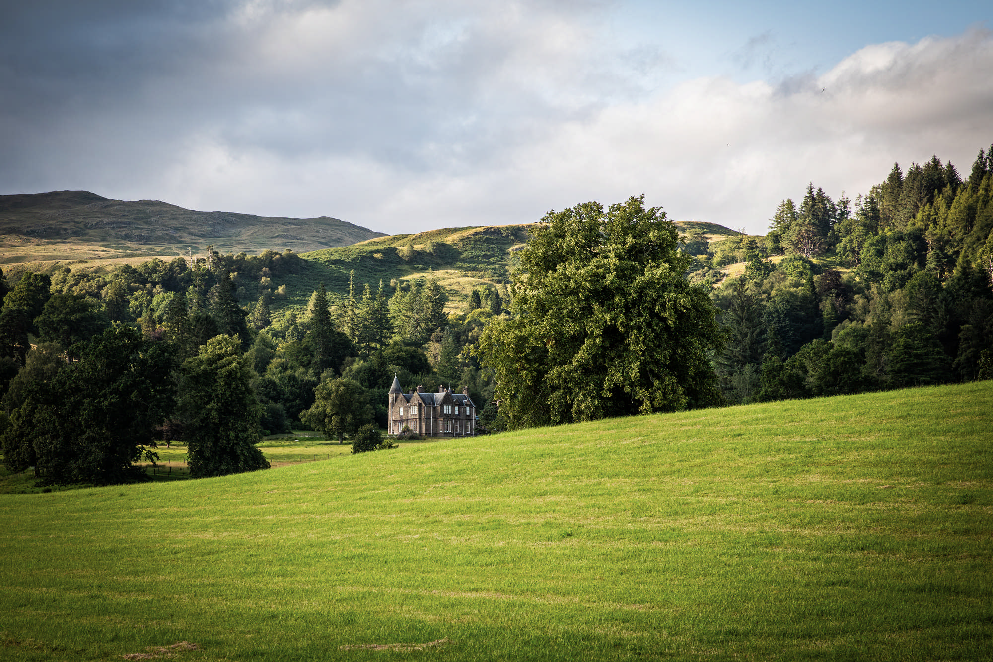 2025 Klehmann Highlands 163