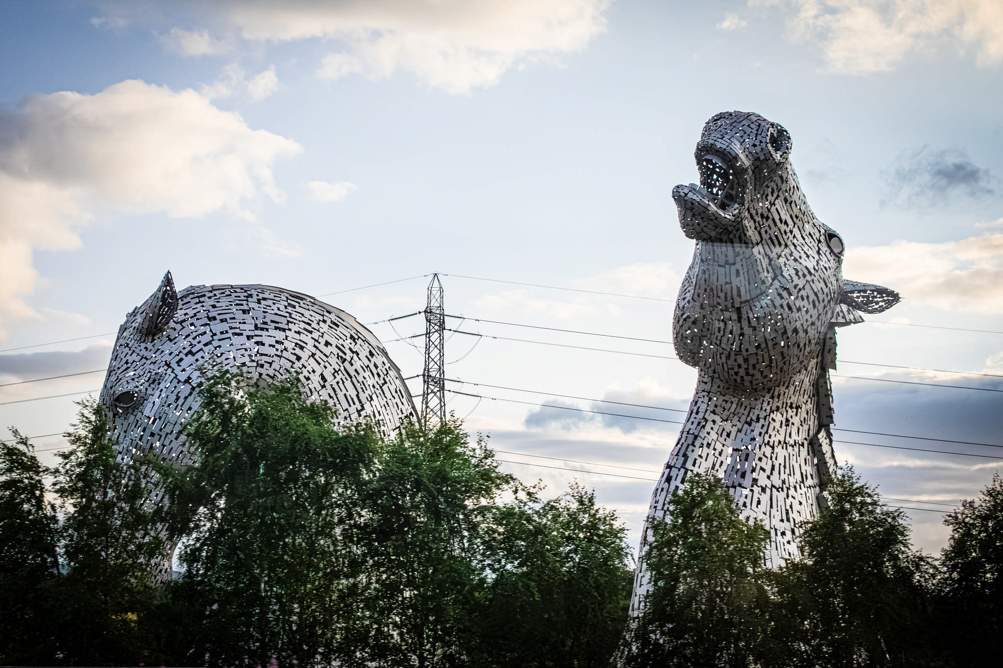 2025 Klehmann Highlands 173