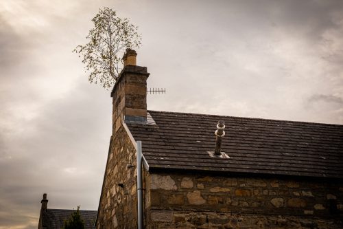 2025 Klehmann Highlands 006