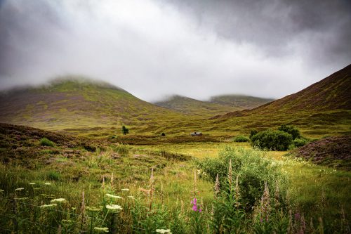 2025 Klehmann Highlands 018