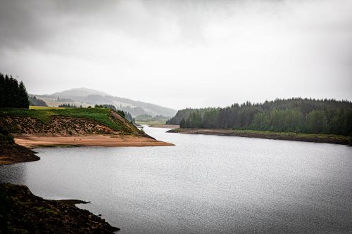 2025 Klehmann Highlands 034