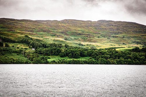 2025 Klehmann Highlands 049