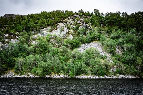 2025 Klehmann Highlands 059