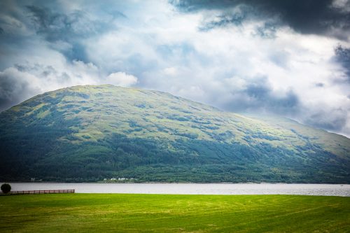 2025 Klehmann Highlands 101