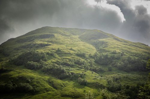 2025 Klehmann Highlands 107