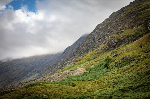 2025 Klehmann Highlands 129