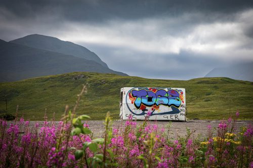 2025 Klehmann Highlands 148