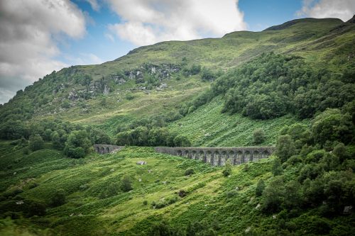 2025 Klehmann Highlands 159