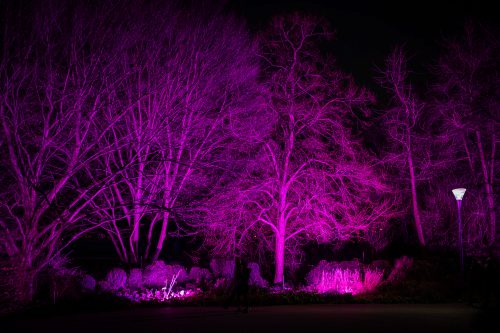 04 Winterlichter 2025 Klehmann 01