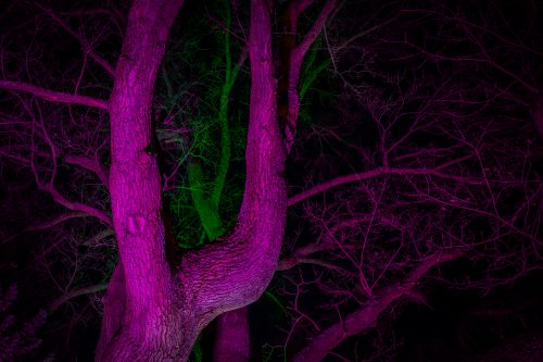04 Winterlichter 2025 Klehmann 02